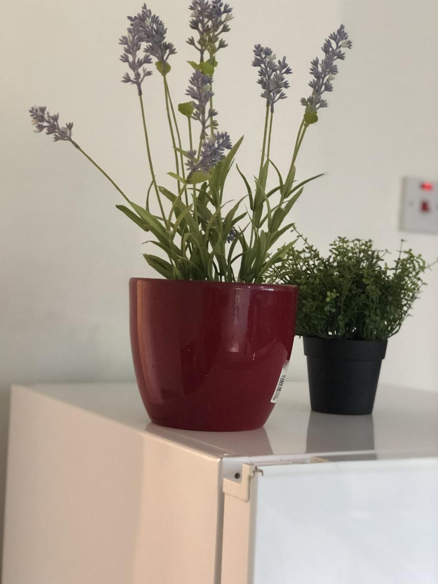 Apple House Guesthouse Heathrow Airport Hillingdon Bilik gambar